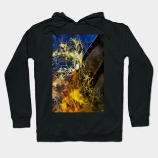 Stocksom Boat Reflection Hoodie